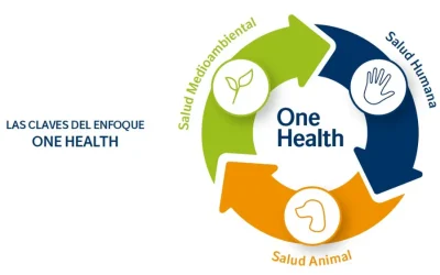 One Health: III Jornada avanzando hacia un abordaje integral de la salud