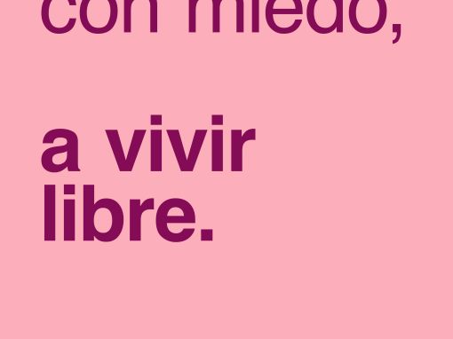 Día Internacional de la Eliminación de la Violencia contra la Mujer (25 de noviembre)