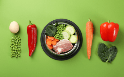 Alimentación, salud y bienestar: un enfoque desde la prevención