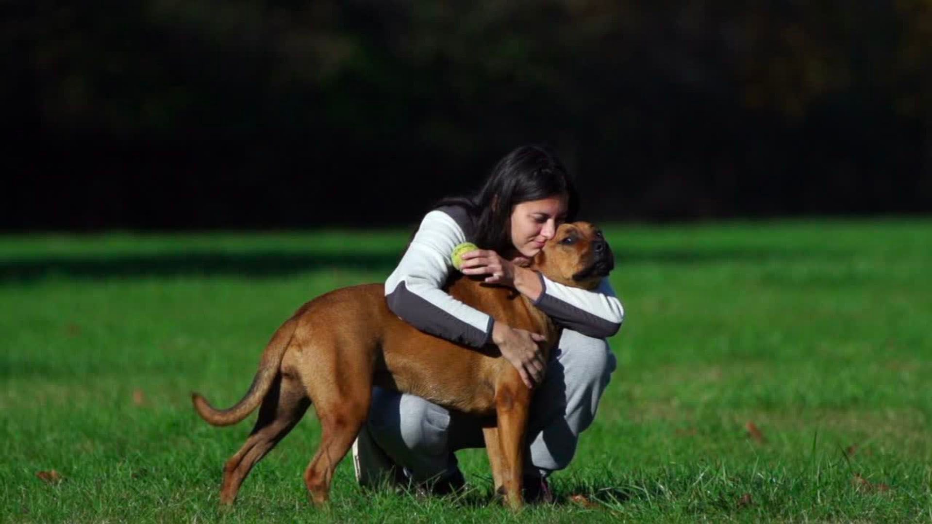 ¿Por qué algunas de nuestras mascotas viven más que otras?